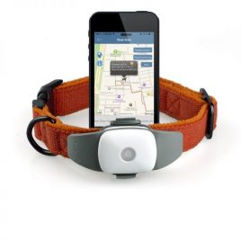Apello Prémium GPS nyomkövető kutya macska részére