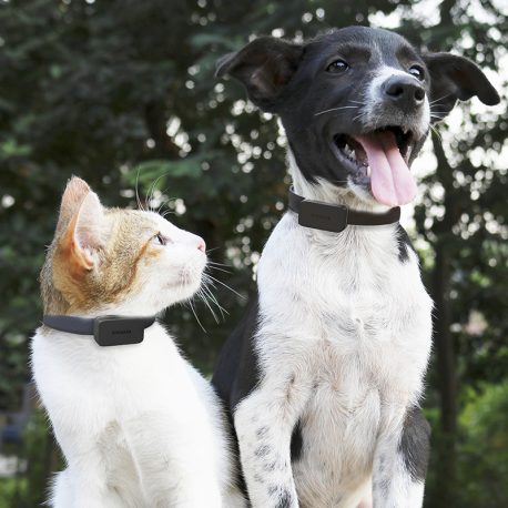 Invoxia_GPS_Pet_Tracker_cats_dogs_web